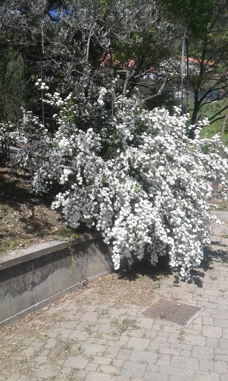 Ospitalita In Campagna