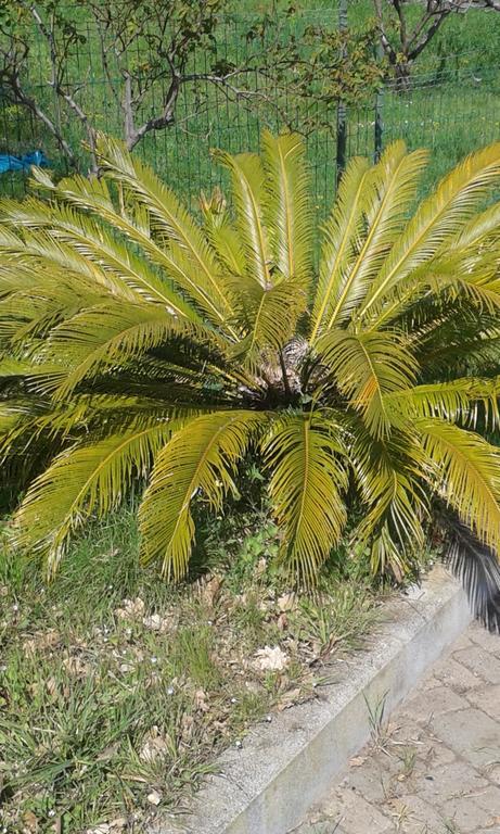 Ospitalità In Campagna Casa de hóspedes *