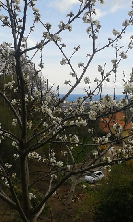 Ospitalita In Campagna *
