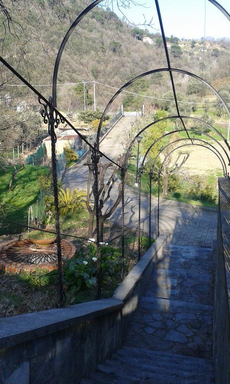 Casa de hóspedes Ospitalità In Campagna *