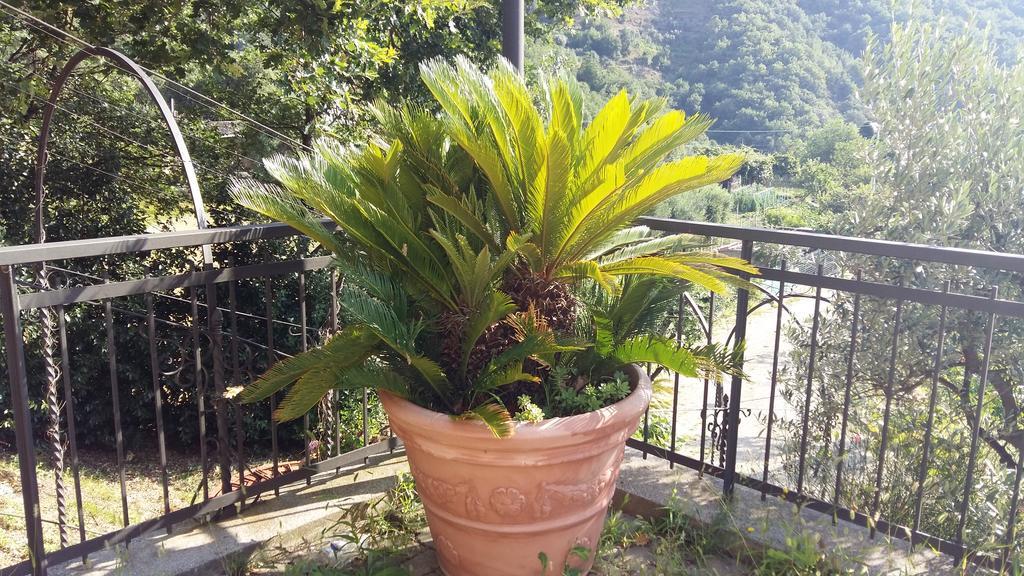 Casa de hóspedes Ospitalità In Campagna Quiliano