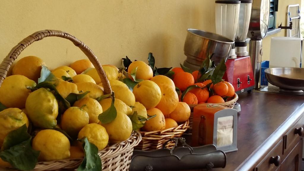 Ospitalita In Campagna * Quiliano
