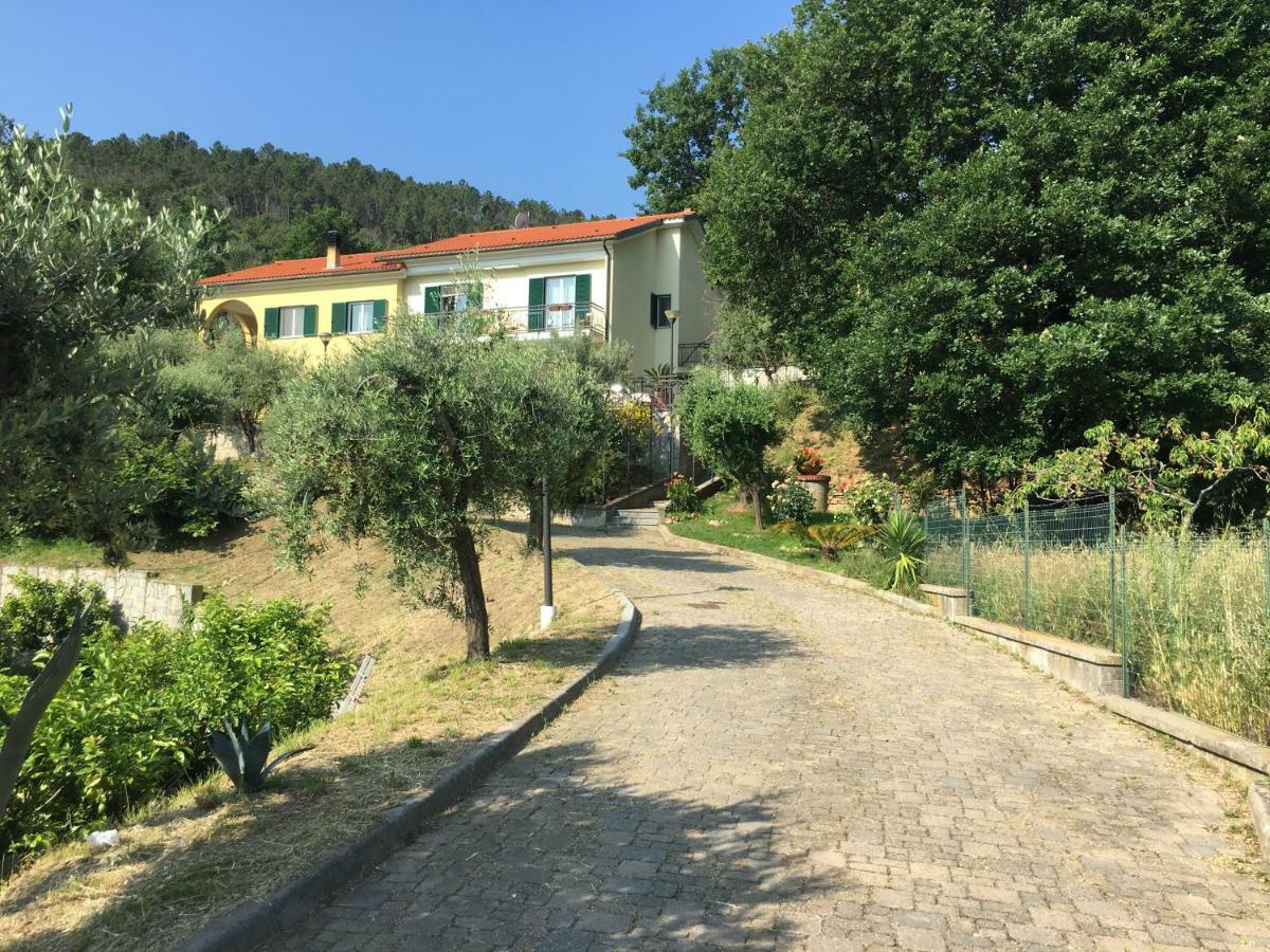 Ospitalita In Campagna *